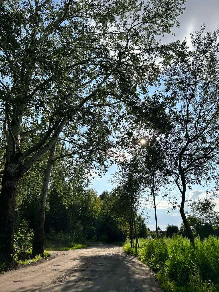 spokojna Grabówka
